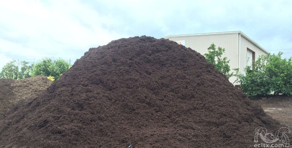 Dirt Yard Earth Creations Landscaping