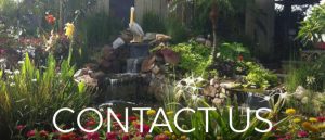 Earth Creations Landscaping Lighting Installations