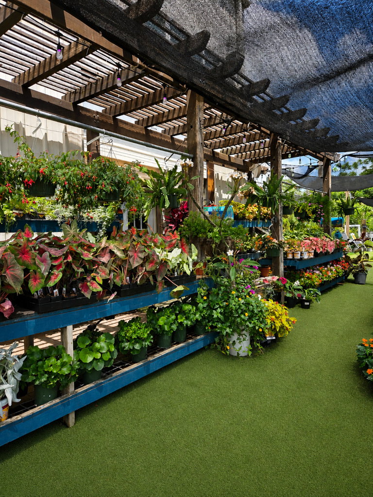 Earth Creations Landscaping Nursery Plants